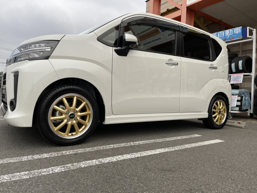 Fenice RX1 ムーブ (2).JPG