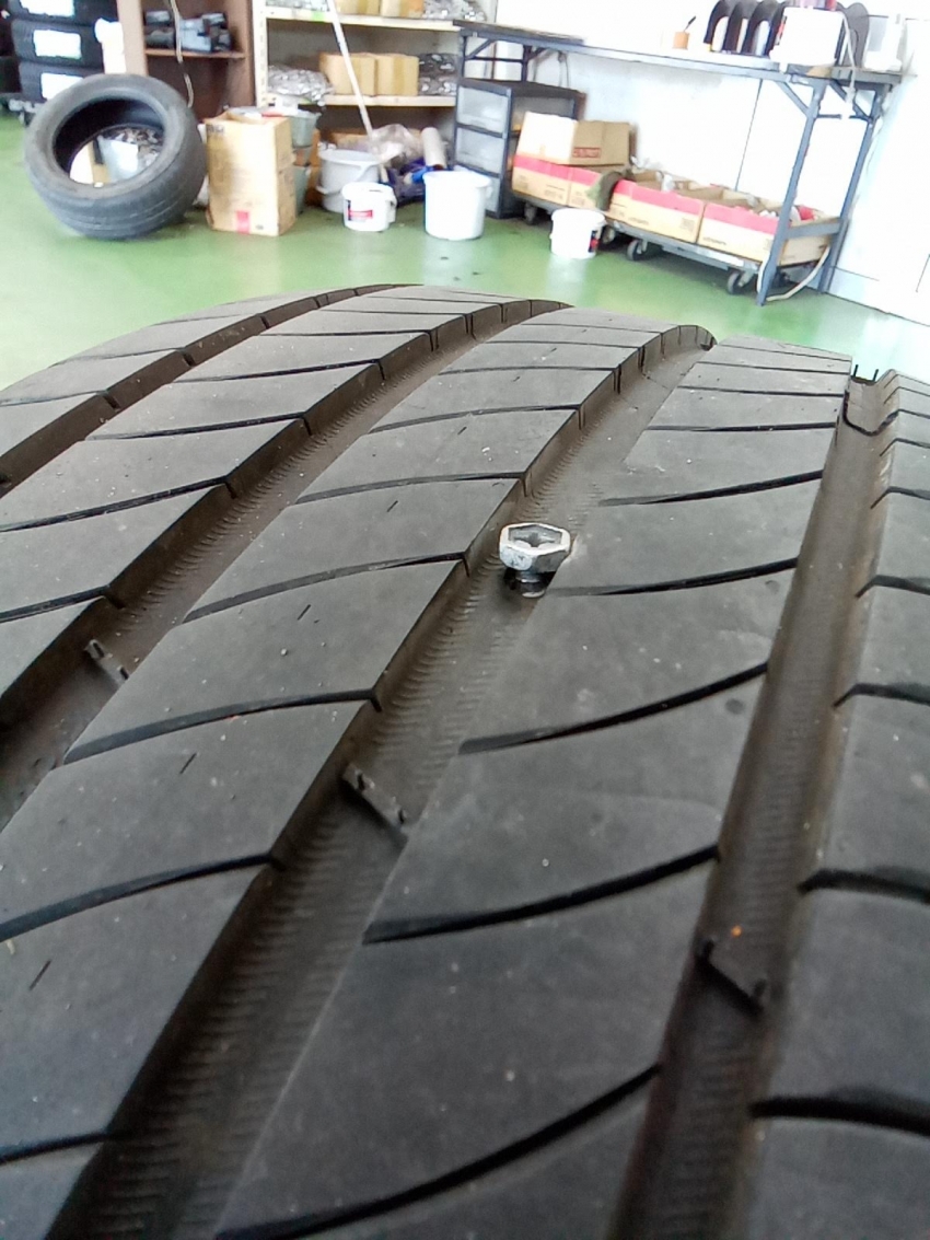 IMG_20230421_142046_983 (1).jpg