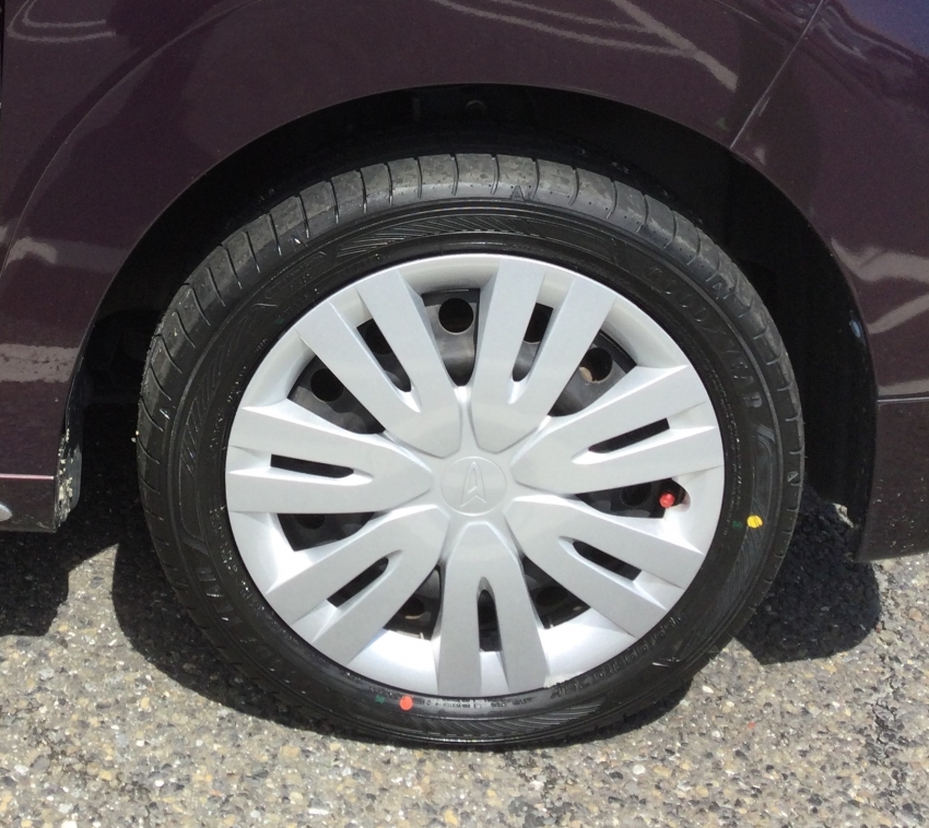 DHTCASGYRVF02 (3).JPG