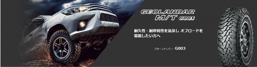 GEOLANDAR MT G003.jpg